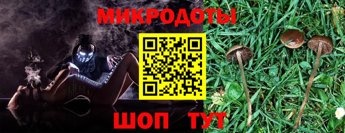 Чебаркуль  Галлюциногенные грибы Psilocybe  Вход с VPN 