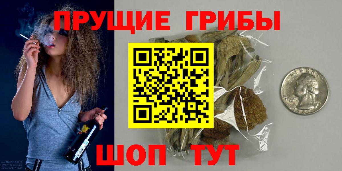 Псилоцибиновые грибы GOLDEN TEACHER Чебаркуль